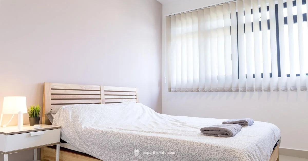 Sterra Moon Review - Air Purifier Info