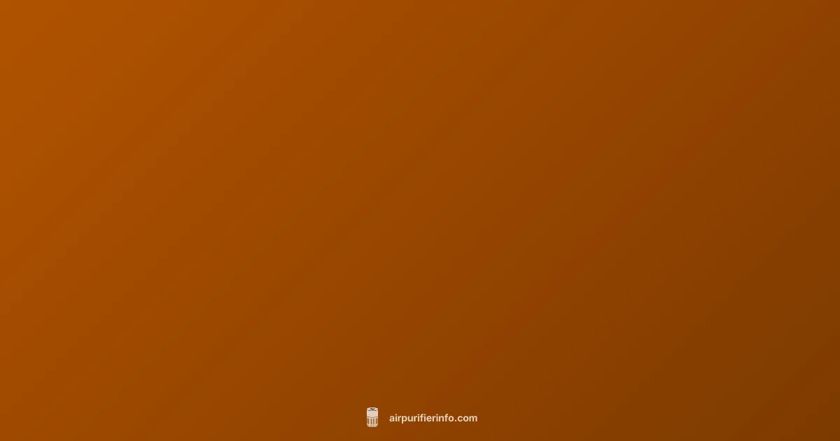 Stuffy Nose Solutions - Air Purifier Info (illustration)