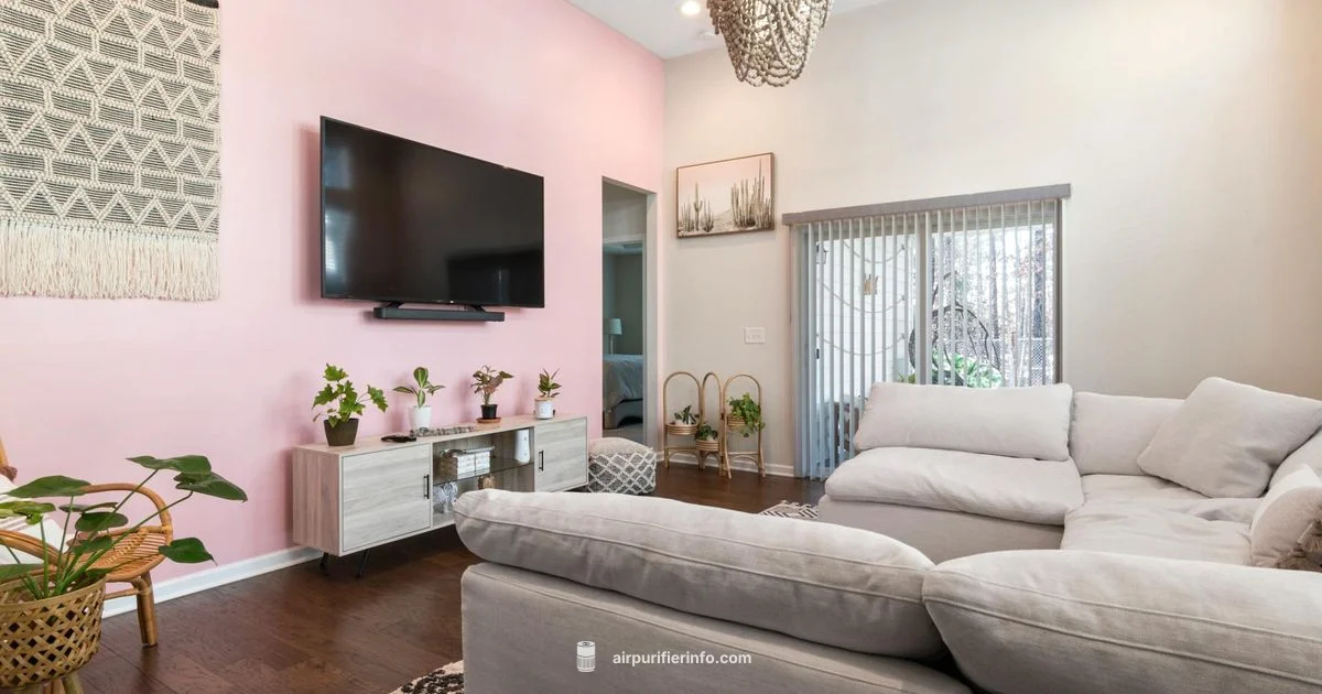 Clean Air for All - Air Purifier Info