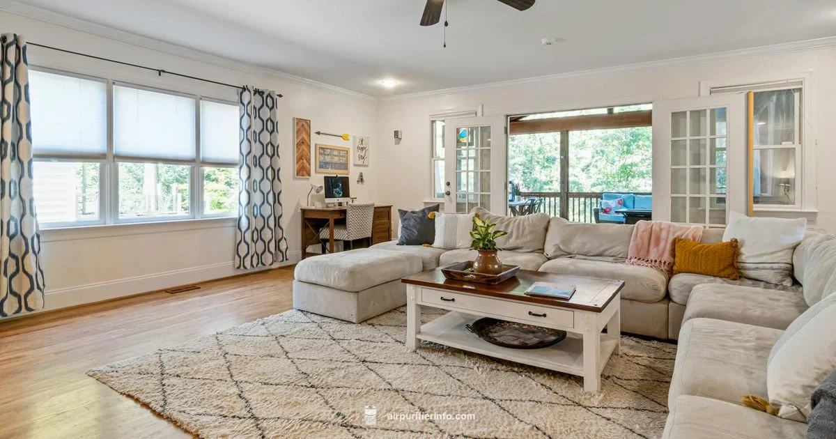 Amway Atmosphere Overview - Air Purifier Info