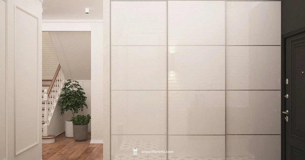 Best Closet Purifier - Air Purifier Info