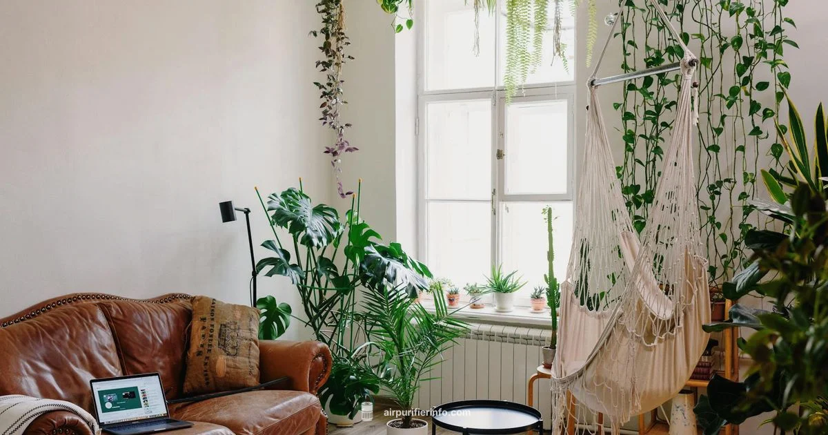 Green Purifier Guide Green Purifier Guide - Air Purifier Info