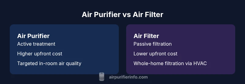 Infographic comparing air purifier and air filter with pros and cons
