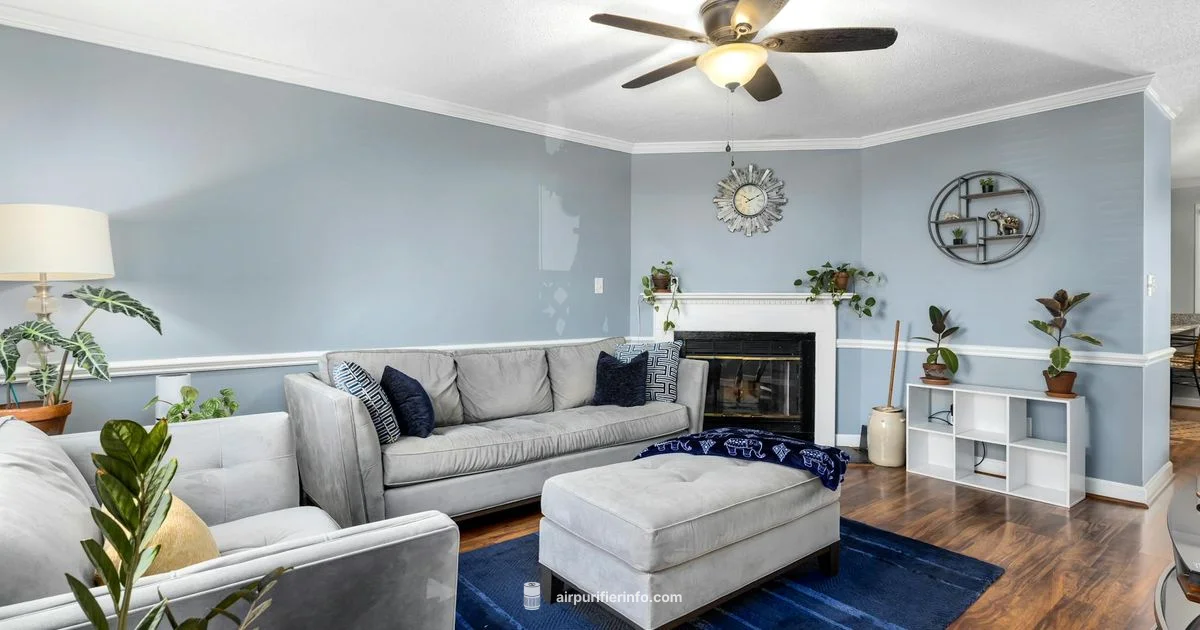 Blue Purifier Review - Air Purifier Info