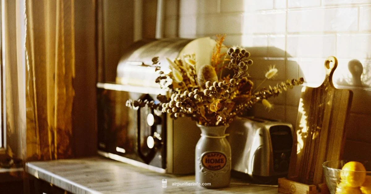 Levoit Troubleshooting - Air Purifier Info