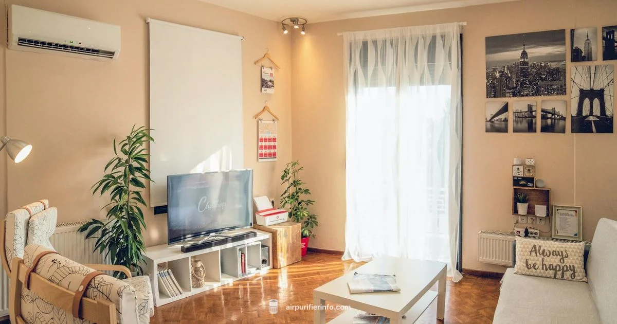 Right Size Matters - Air Purifier Info