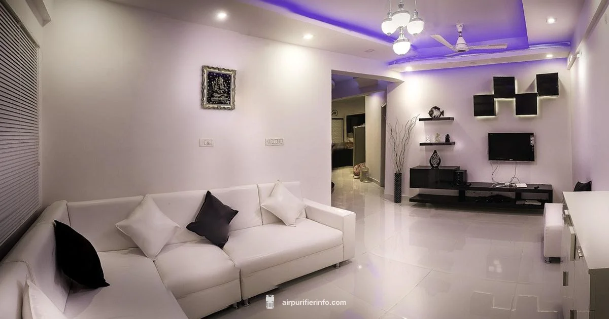 Less Stuffiness Ahead Less Stuffiness Ahead - Air Purifier Info