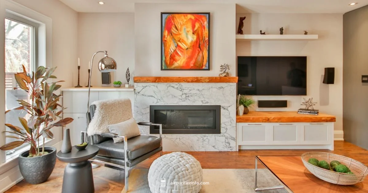 Hathaspace Review Hathaspace Review - Air Purifier Info