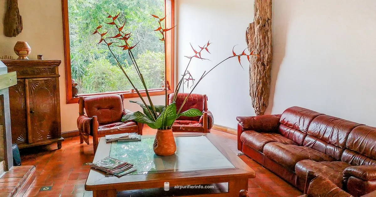 Tiny Purifier Big Impact - Air Purifier Info