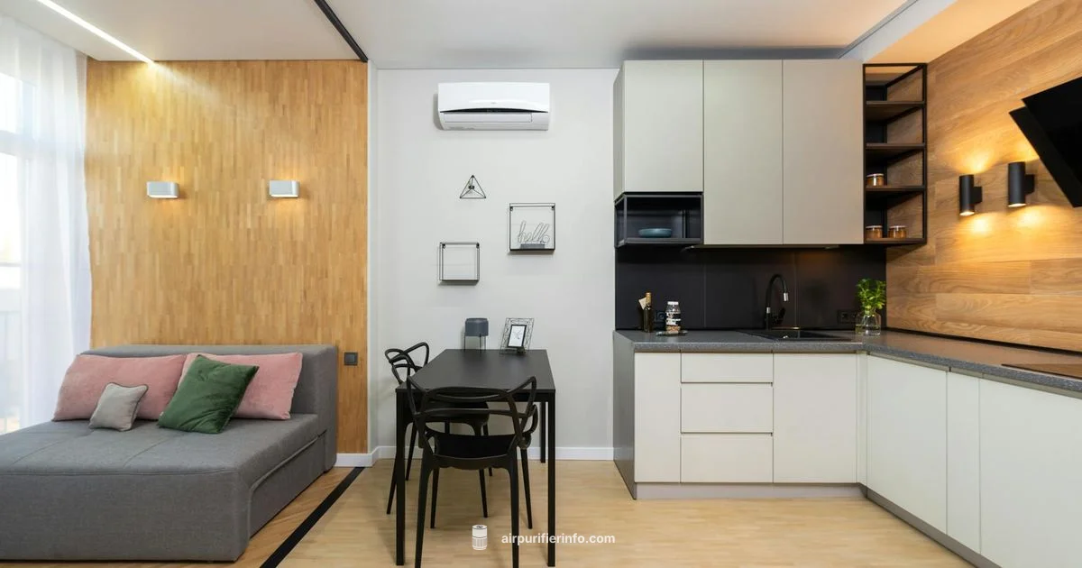 iWave Purifier Review - Air Purifier Info