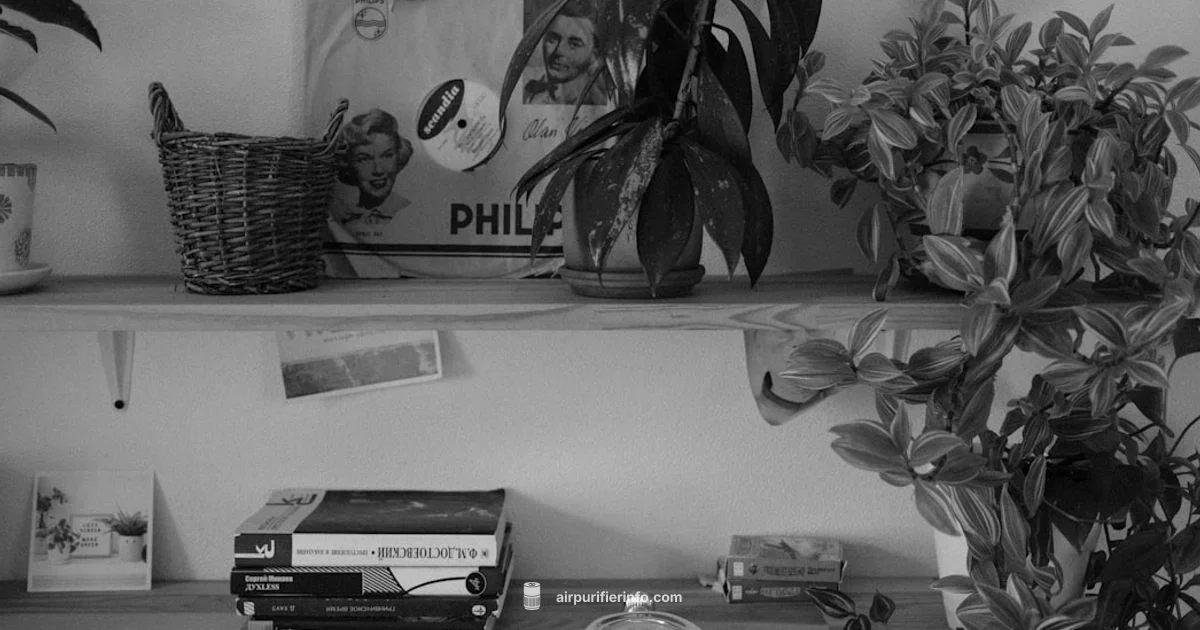 CFM Calculator - Air Purifier Info