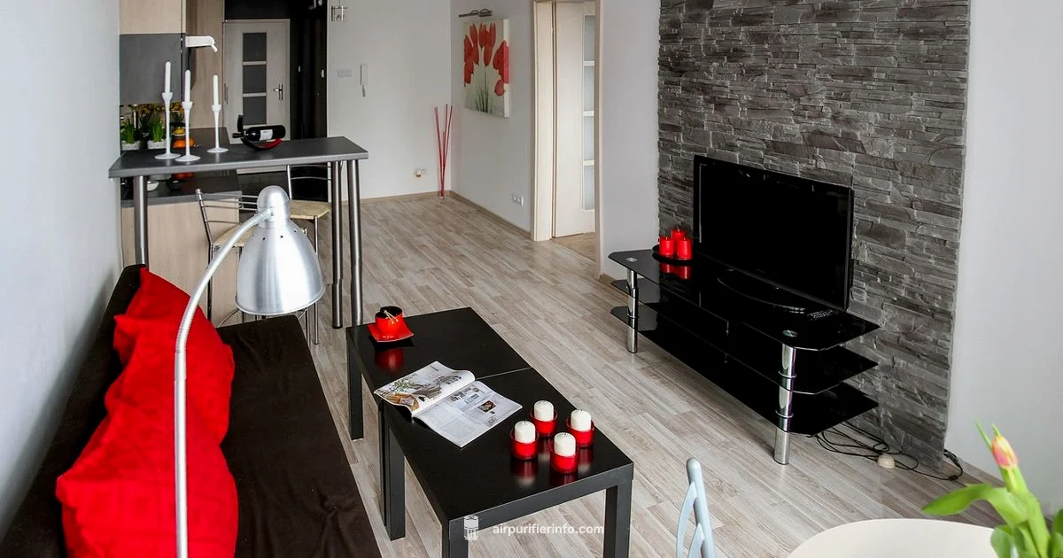 Whole Apartment Guide - Air Purifier Info