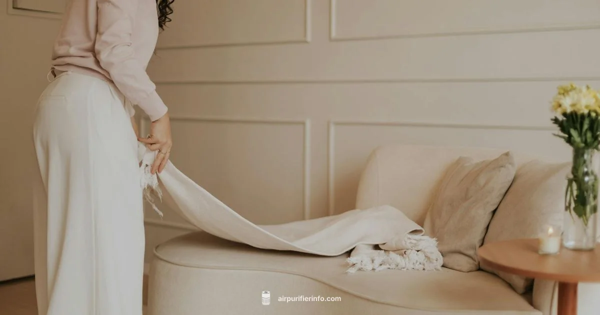 Air Purifier vs Fan - Air Purifier Info