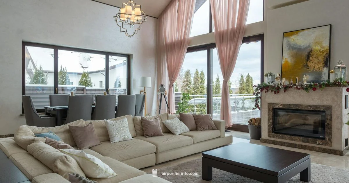 Mold-Safe Air - Air Purifier Info