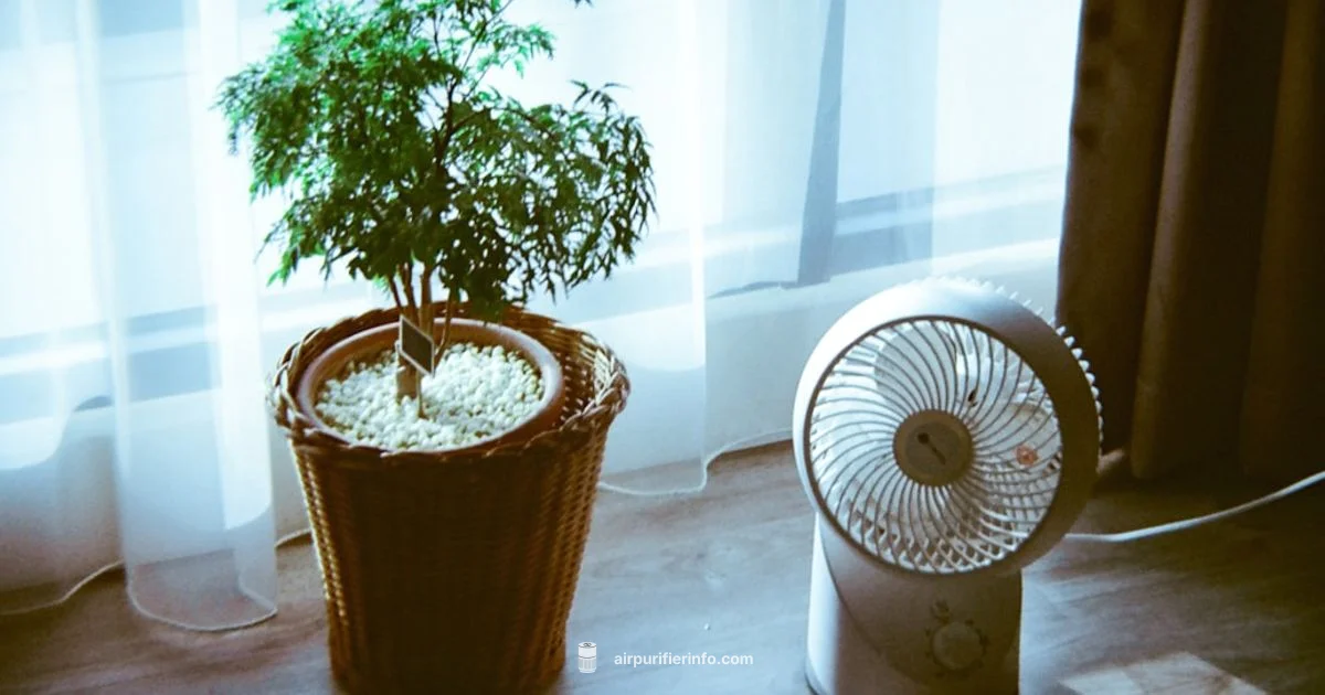 HEPA Clarity Guide HEPA Clarity Guide - Air Purifier Info