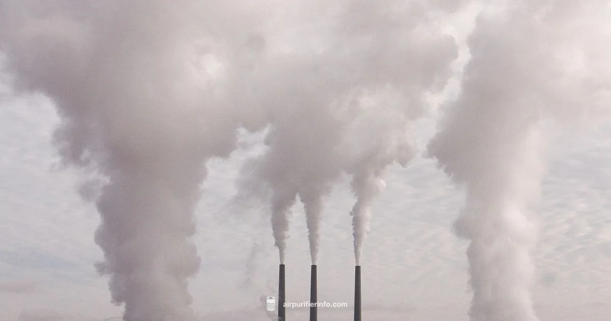 Industrial Purifier Overview - Air Purifier Info