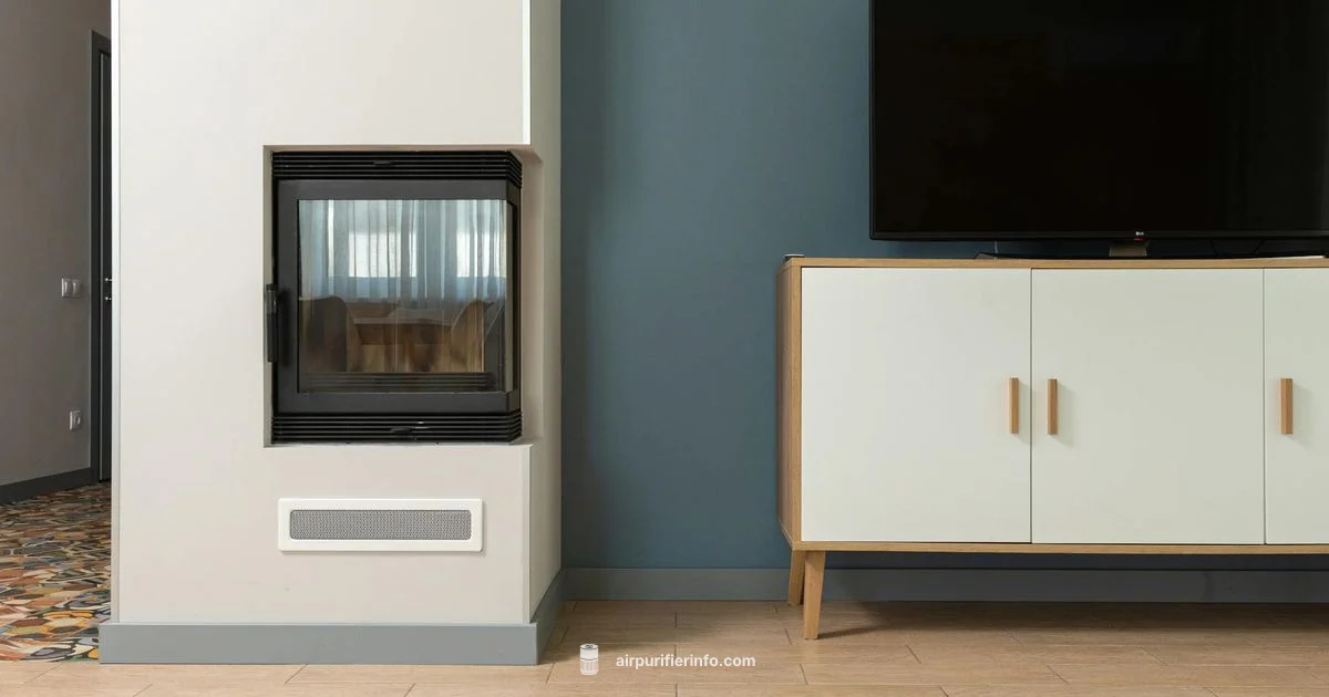 Air Dust Cleaner - Air Purifier Info