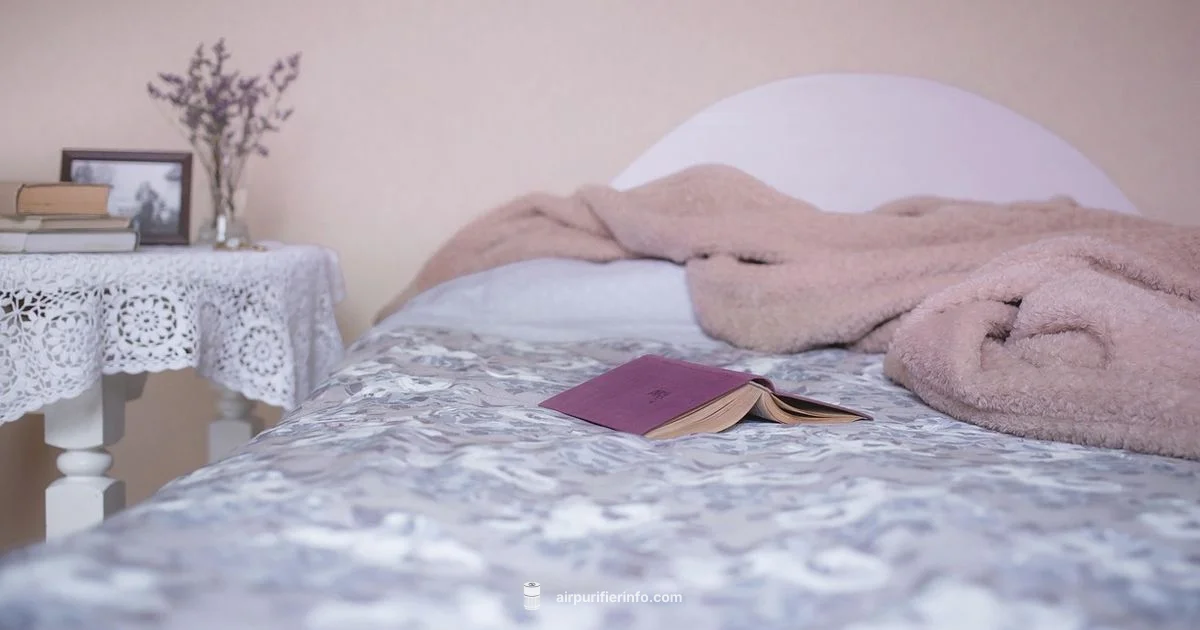 Bedroom Purifier Guide - Air Purifier Info