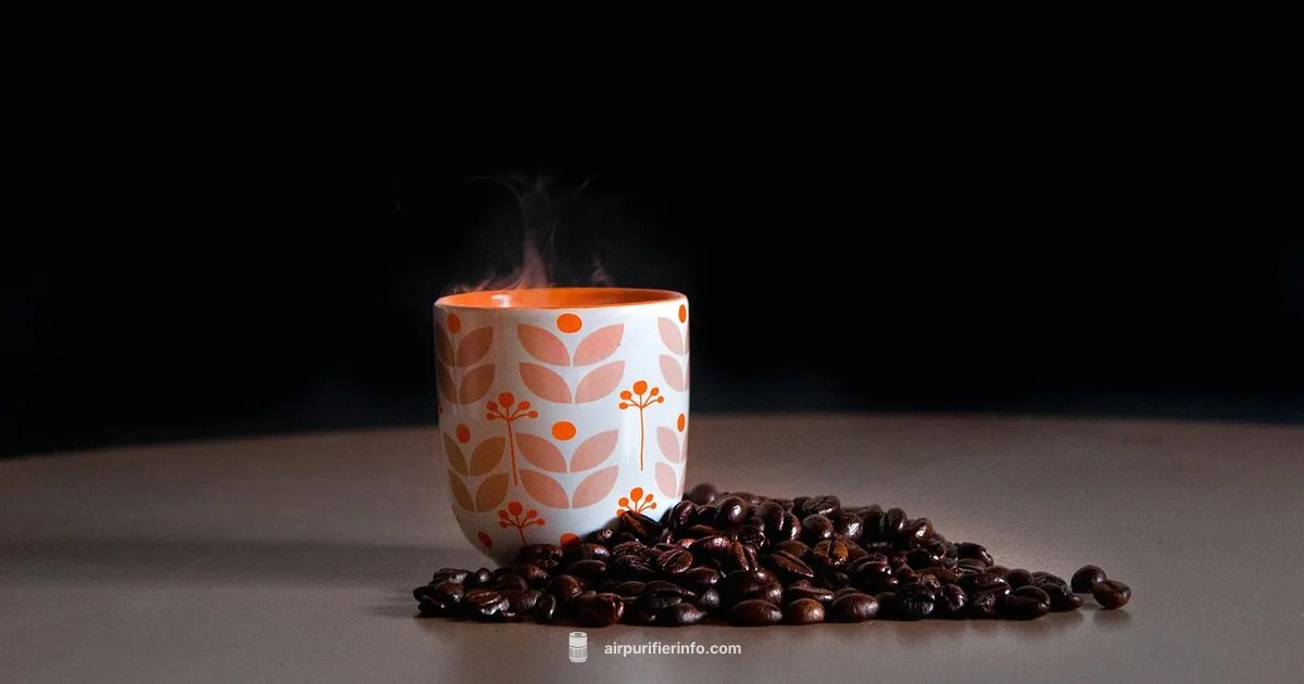 Smoke Purifier Picks - Air Purifier Info