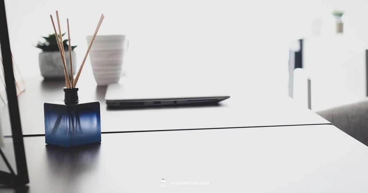 Purifying Oils Guide - Air Purifier Info