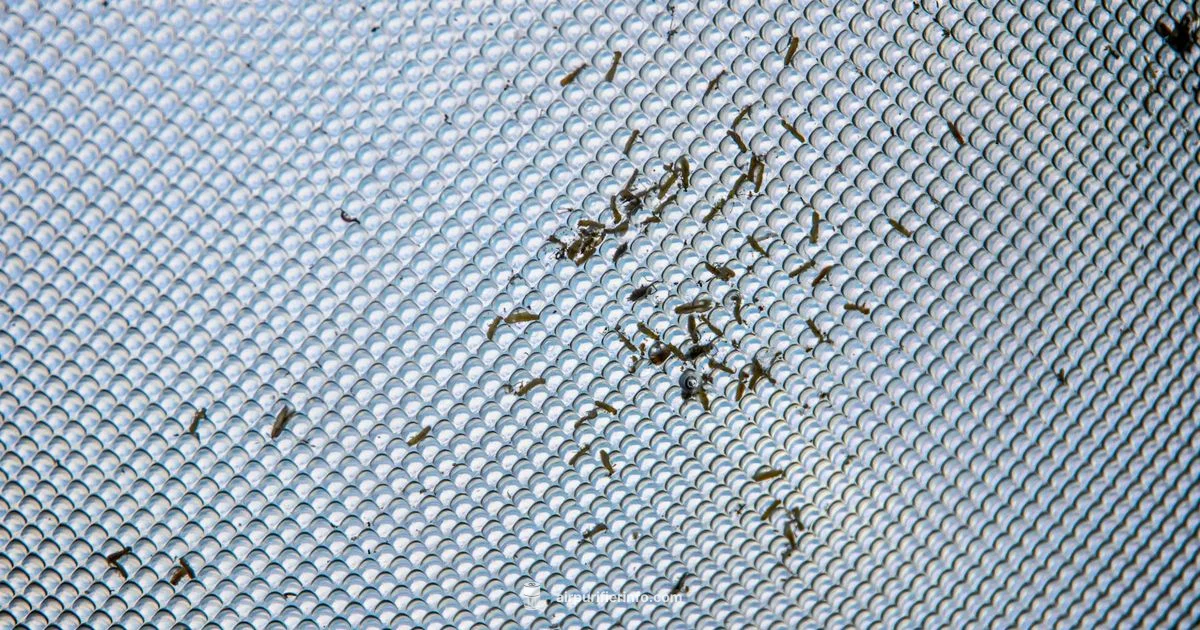 Hunter Filters Guide - Air Purifier Info