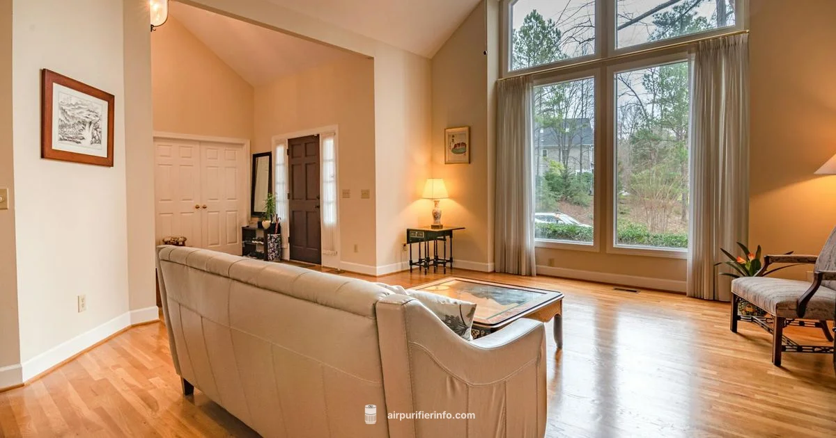 Large Room Clarity - Air Purifier Info