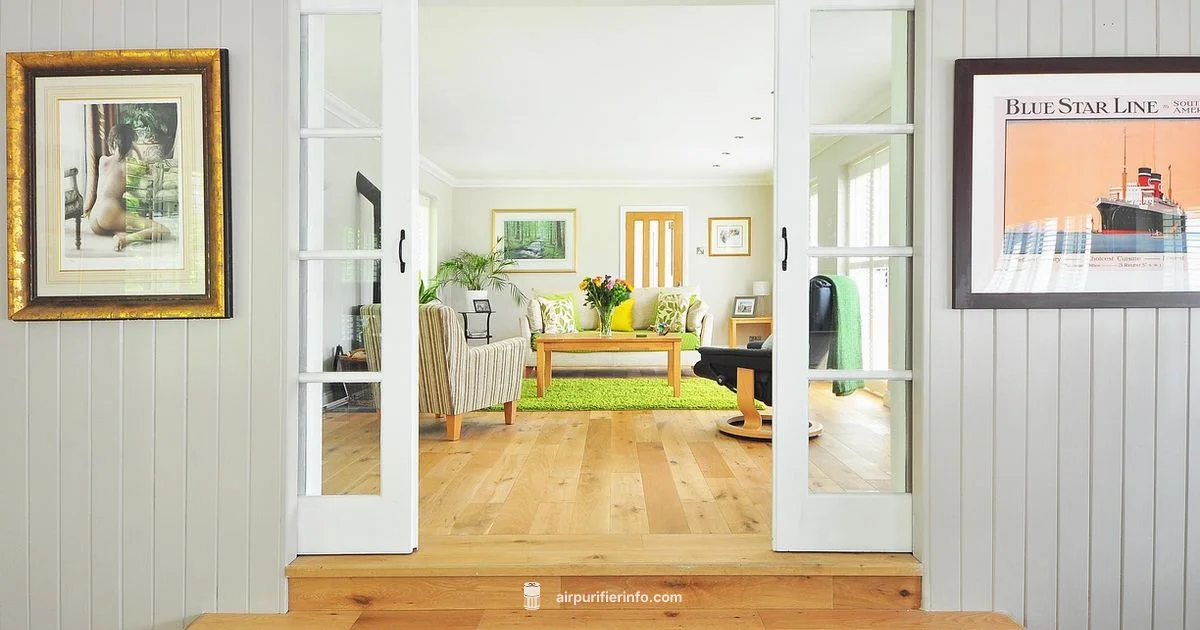 No Remote Setup - Air Purifier Info