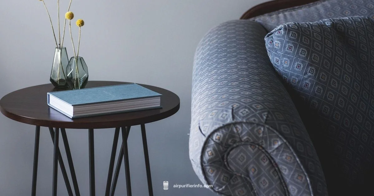 Clean Air Plan - Air Purifier Info