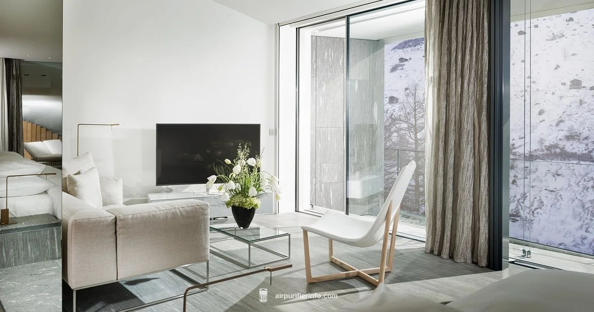 Clean Air in Style Clean Air in Style - Air Purifier Info