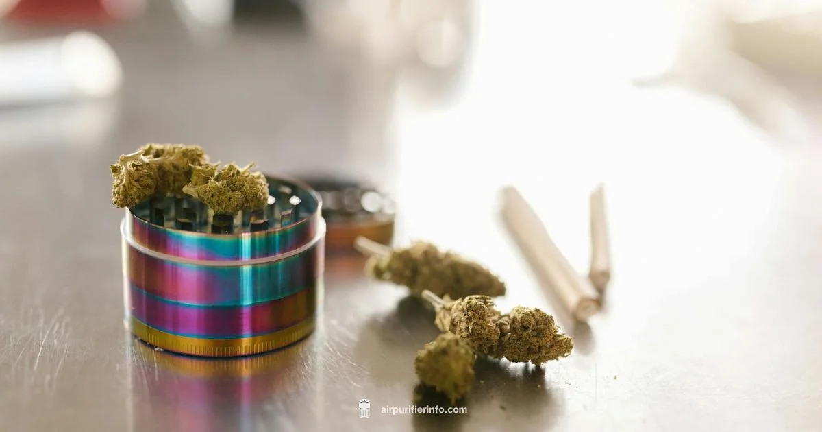 Odor Reduction Guide - Air Purifier Info