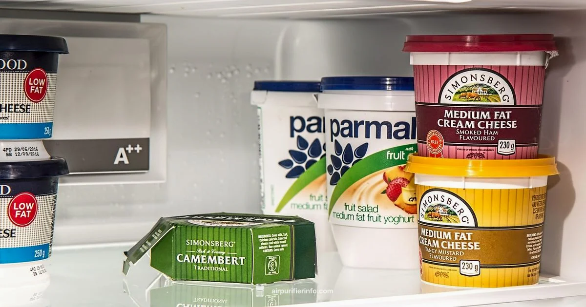 Fresh Fridge Air - Air Purifier Info