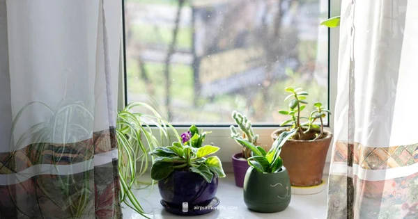 EdenPure Thunderstorm Review - Air Purifier Info