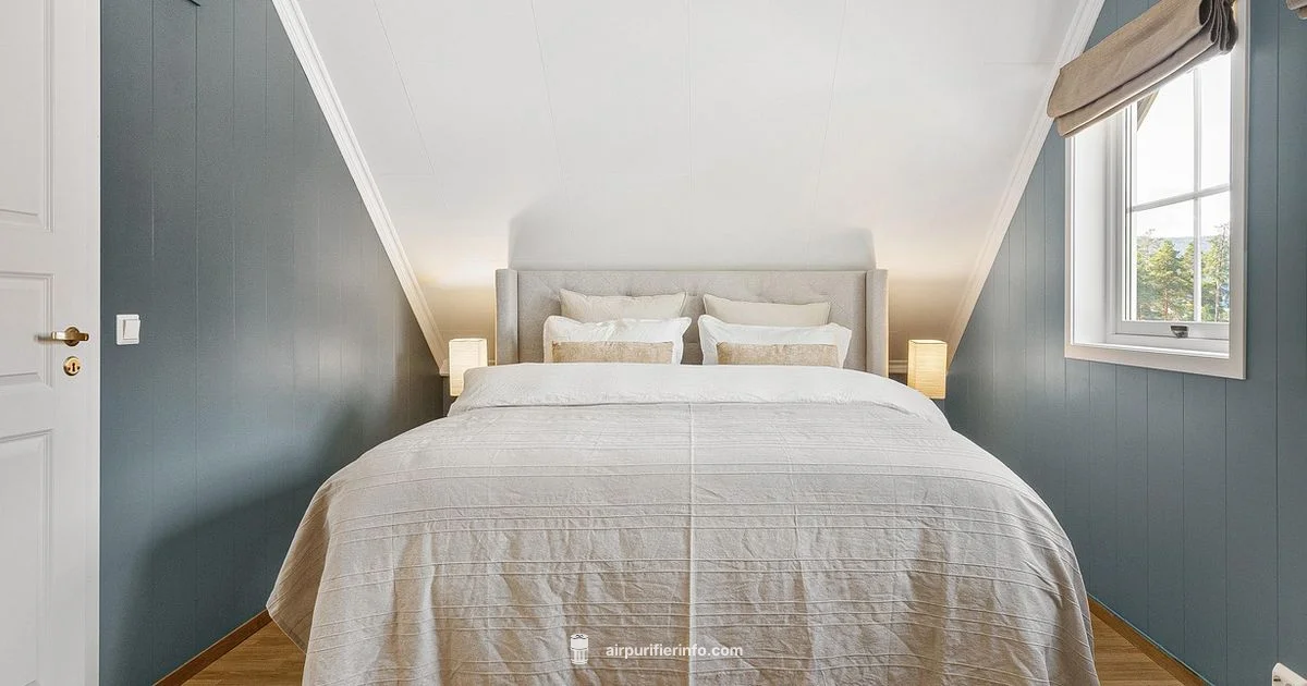 Bedroom Air Purifier Guide - Air Purifier Info