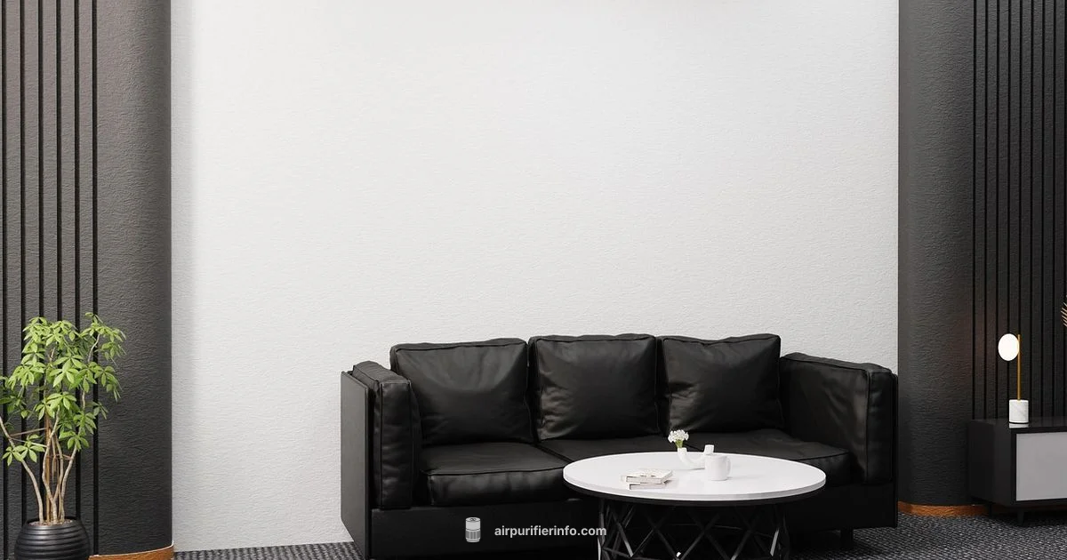 Large Space Purifier - Air Purifier Info