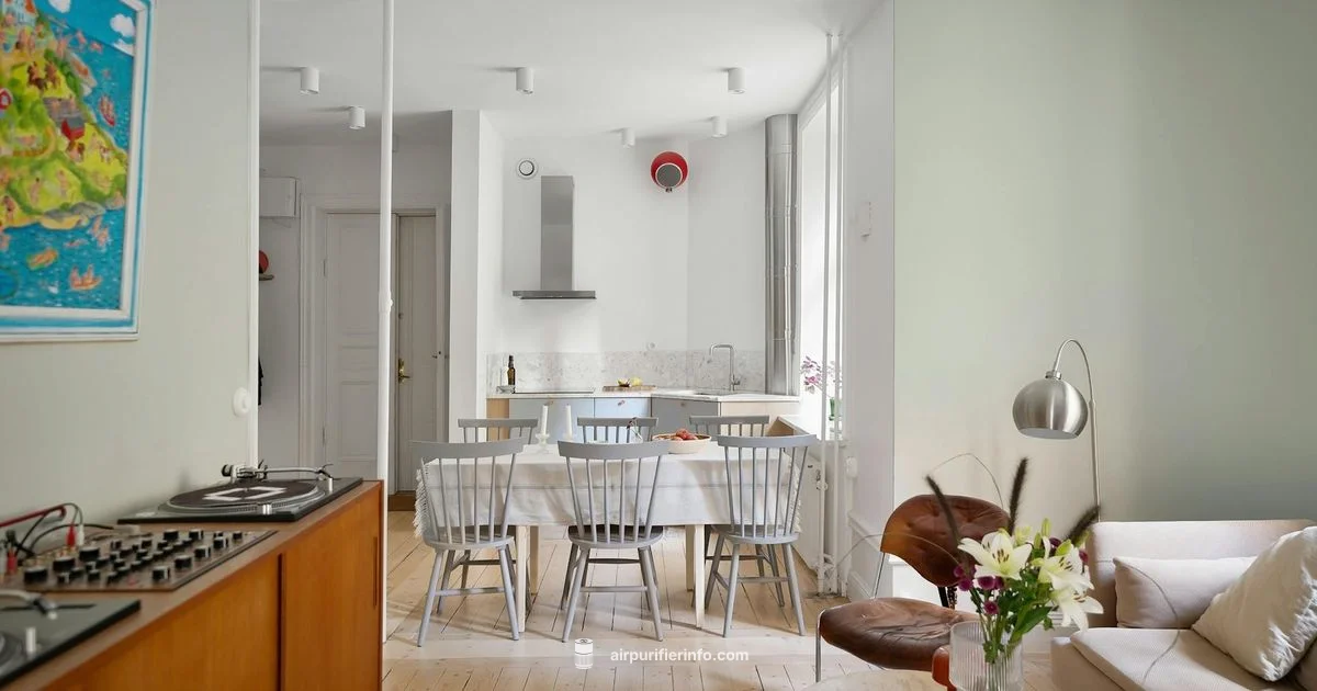 Ozone Risk in Purifiers - Air Purifier Info