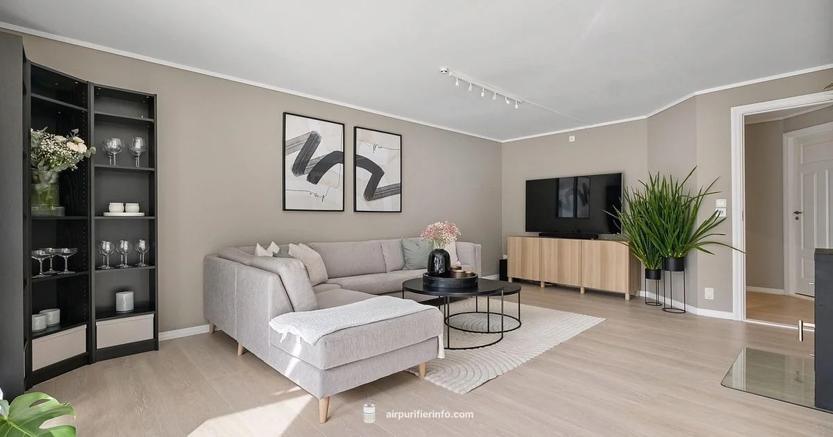 Odor Control Guide - Air Purifier Info