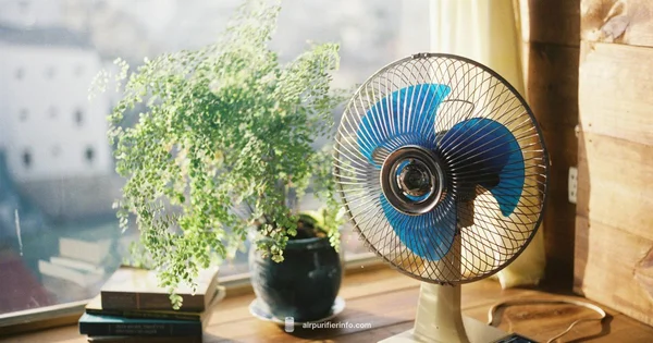 Dyson Cold Fan Guide - Air Purifier Info