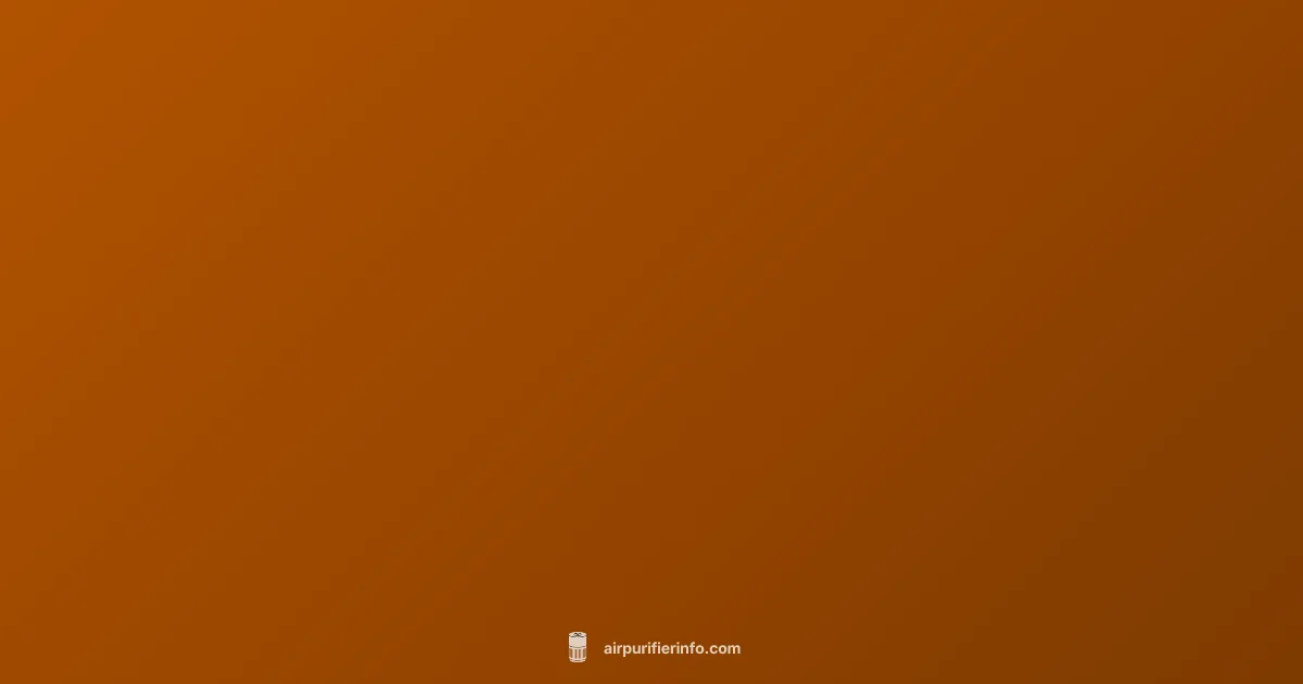 Purifier + Humidifier Setup - Air Purifier Info (illustration)