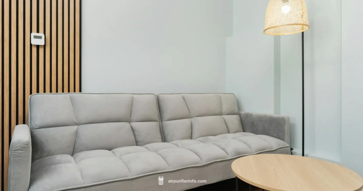 Pickup Today Guide - Air Purifier Info