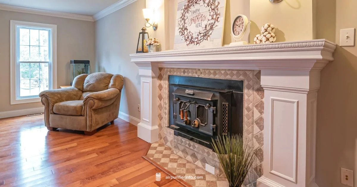 Free Air Purifier - Air Purifier Info