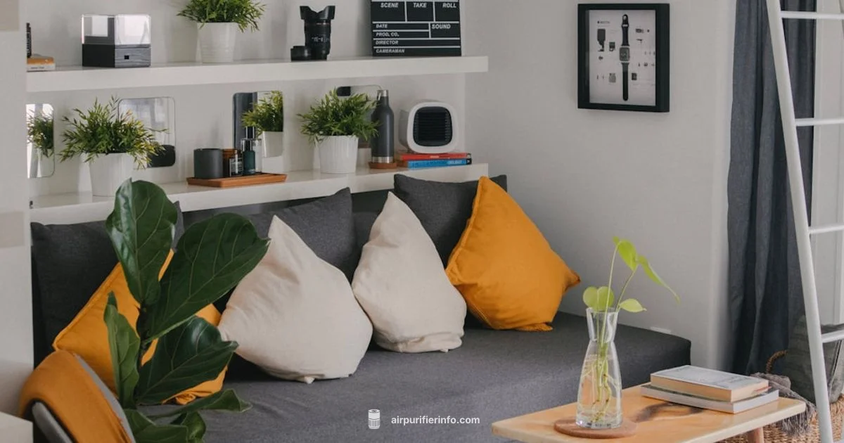 Sans vs Levoit Guide Sans vs Levoit Guide - Air Purifier Info