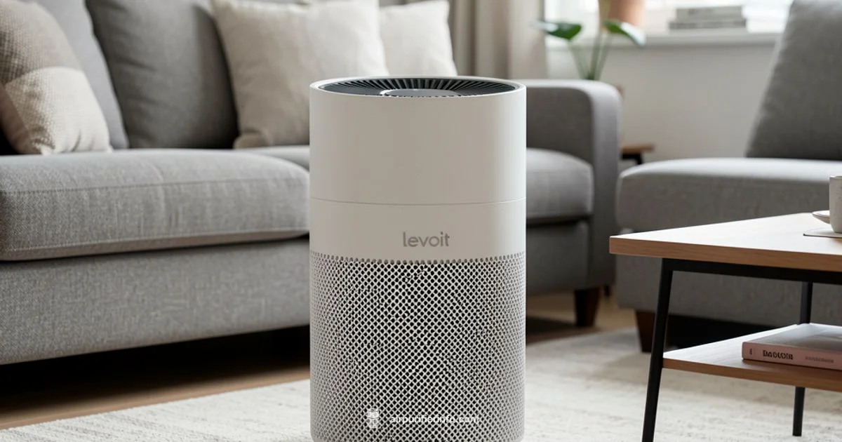 Levoit Brand Overview - Air Purifier Info