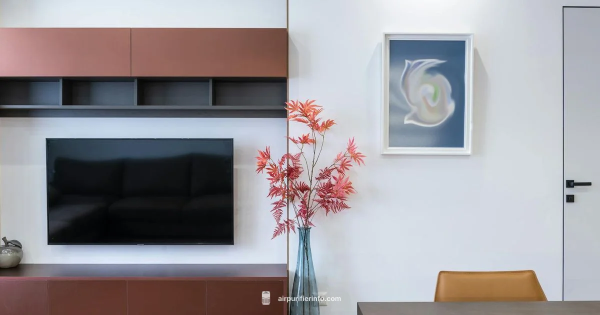 Dual Action Purifier Dual Action Purifier - Air Purifier Info