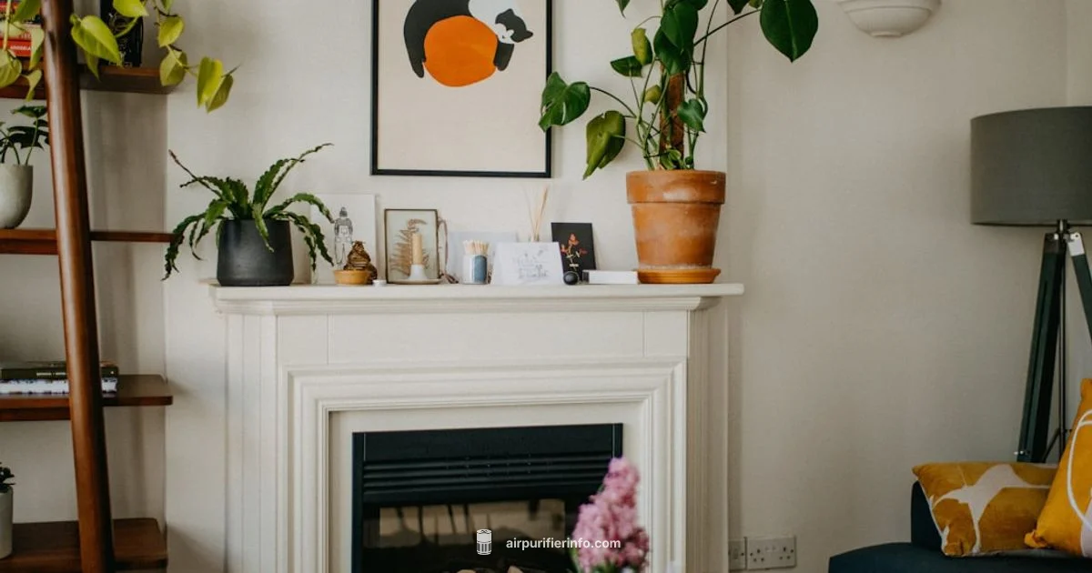 Air Purifier with AC Air Purifier with AC - Air Purifier Info