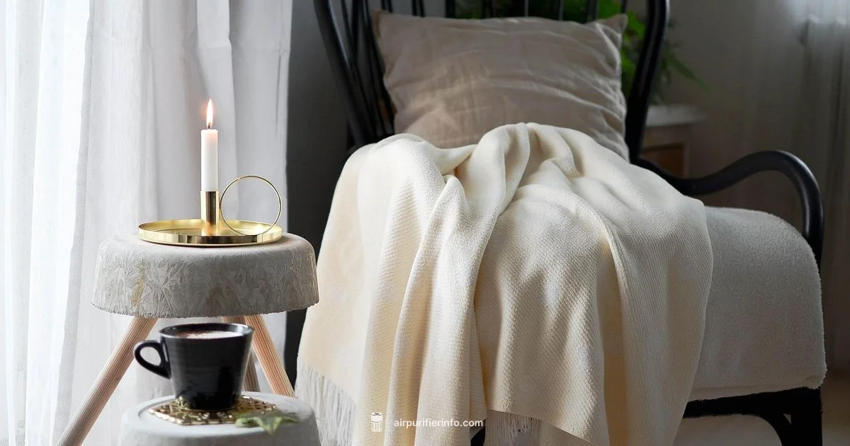 HEPA Allergy Guide - Air Purifier Info