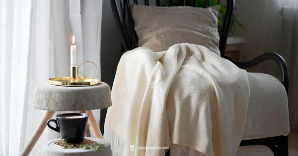 HEPA Allergy Guide - Air Purifier Info