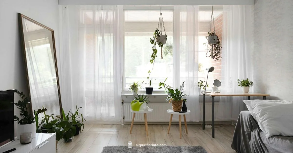 Air Purifier Pick Up - Air Purifier Info