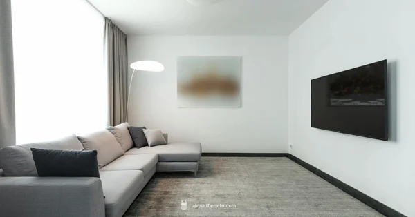 Clean Air Now - Air Purifier Info