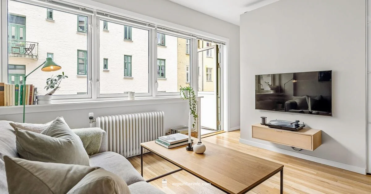 Clean Air, Calm Space - Air Purifier Info