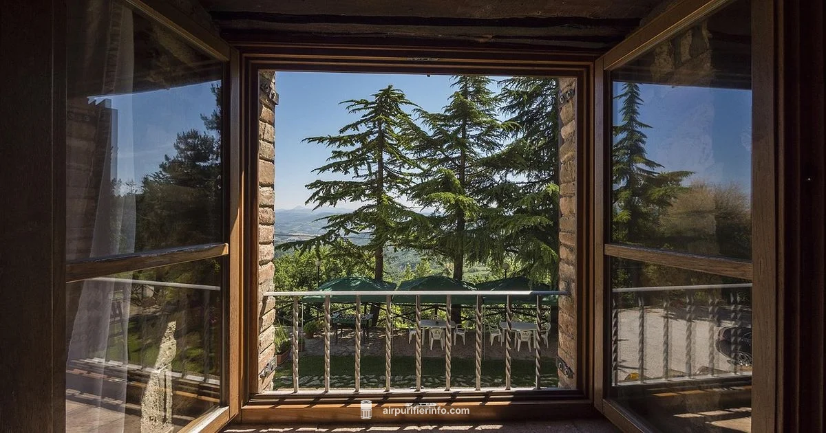 Purify Air at Home - Air Purifier Info